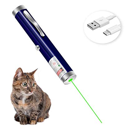 WORD GX High Power Visible Beam Green Light Pointer for Hunting Hiking with USB Rechargeable