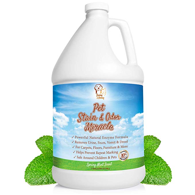Pet Stain & Odor Remover, Enzyme Cleaner, Odor Eliminator, Best Carpet Stain Remover, Pet Odor Eliminator, Stain Remover, Odor Neutralizer, Cat Urine Smell - Cleaner - Eliminator, Sunny and Honey, 1 Gallon