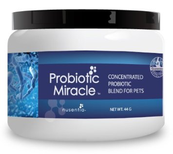 Pet Probiotics (120 servings) - Complete Veterinary Formula for Canine & Feline Gut Health - Probiotic Miracle (R) Powder - Proven Probiotic Strains for Dog Diarrhea, Loose Stool, Yeast, Gas, & Digestive Problems - All Natural, No Animal Ingredients, No Fillers, No Flavors, Non-GMO. Fortify Intestinal Flora with a Trusted Dog Probiotic Brand. Made in the USA at a Certified GMP Facility. 100% Satisfaction Guarantee. No Risk.