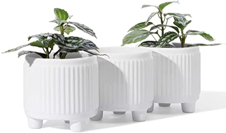 POTEY 056104 Ceramic Succulent Planter Pots - 3.75 Inch Indoor Small Planters Bonsai Container with Drainage Hole & 3 Legs for Plants Succulent Cactus Flowers (Set of 3, Plant NOT Included)