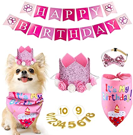 Syhonic 29Pcs Dog Birthday Party Decorations Dog Pink Bandana Flower Crown Happy Birthday Banner Set Pets Cute Hat with Bow Tie Neckerchief Party Costumes for Dogs Cats Girl Celebrations