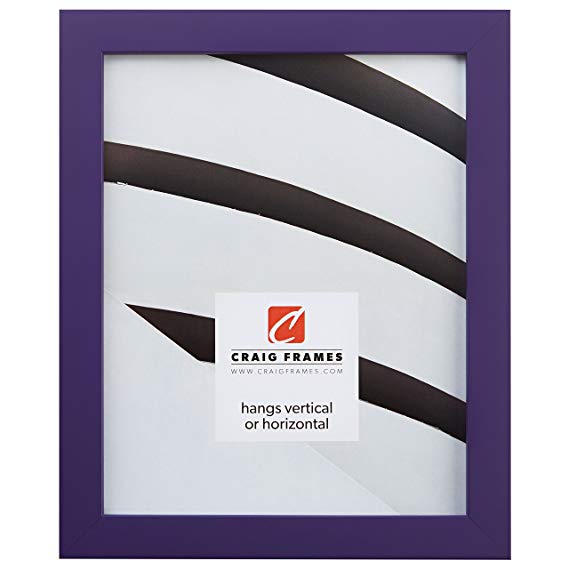 Craig Frames 140639 20 by 20-Inch Picture Frame, Solid Wood, Smooth Finish, 0.875-Inch Wide, Purple