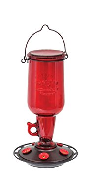 More Birds Hummingbird Feeder Vintage Red Glass Jug, 23-Ounce Hummingbird Nectar Capacity