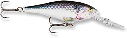 Rapala Shad Rap 5 Fishing Lure (Size-2)