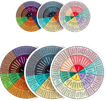 18 Pieces Feelings Wheel Chart Stickers, 6-Inch and 3.2-Inch Vinyl Emotion Pie Chart Decals Self-Adhesive Mental Color Charts for Laptop Cup Car Decal Office Skateboard Decor Social Staff Counselor