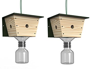 Best Bee Trap Carpenter Bee Trap - 2 pack