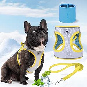 EXPAWLORER Dog Cooling Vest - Step in Dog Cooling Harness and Leash Set with Dog Cooling Bandana, Breathable Adjustable No Pull Puppy Reflective Harness, Summer Outdoor Harness for Dogs, Grey M