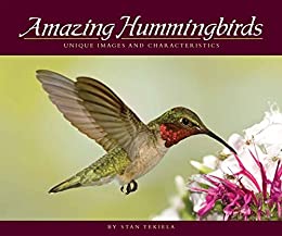 Amazing Hummingbirds: Unique Images and Characteristics (Wildlife Appreciation)