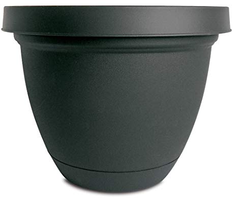 Akro-Mils Infinity Planter with Attached Saucer, 6-Inch, Black