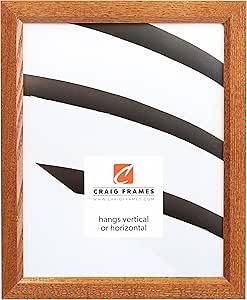 Craig Frames Economy, 24x30 Picture Frame, Honey Brown