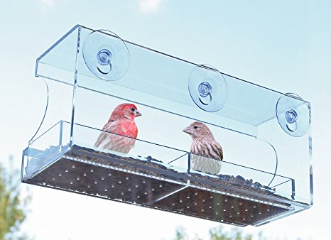Bird Feeders for Outside - Window Bird Feeder w/ Removable Seed Tray Suction Cups & Drain Holes - Large All Weather Clear Acrylic Easy to Clean - Nice Gift