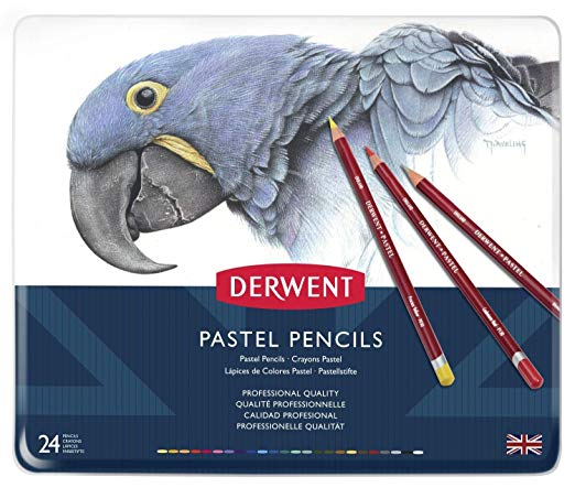 Derwent Pastel Pencils, Set of 24, Professional Quality, 32992, Multicolor