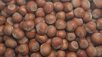 Filberts/Hazelnuts,"Fresh off the tree" In shell (5 lbs.) by Presto Sales LLC