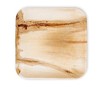 25 Heavy Duty Disposable and Home Compostable Party Plates made from Palm Leaf | 9 inch Square