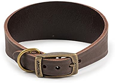 Ancol Timberwolf Leather Whippet Collar
