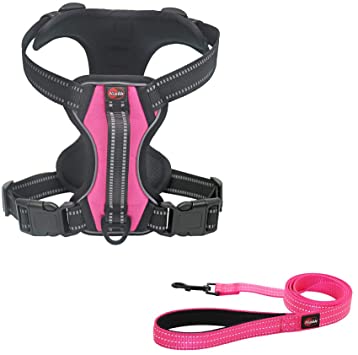 NIMBLE Dog Harness No Pull Dog Vest with Leash Adjustable & Reflective Pet Vest Harnesses and Leash Easy Control for Small Medium Large Dogs