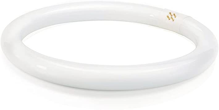 Philips 262600 32W 12-Inch Daylight Deluxe Circline Fluorescent Bulb