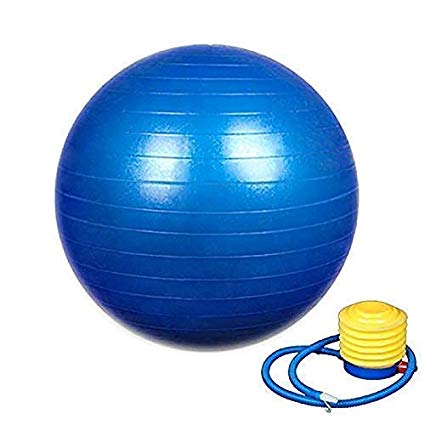 Rylan Exercise Heavy Duty Gym Ball - Non-Slip Stability Ball - Anti Burst Yoga Ball - Heavy Duty Balance Ball - Extra Thick Fitness Ball for Home, Gym, Office with Quick Pump(excersice equipment for home) (gym ball 75cm with pump)