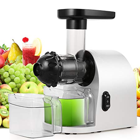 Slow Masticating Juicer Extractor, Cold Press Juicer Machine with Brush to Clean Conveniently High Nutrient Fruit and Vegetable Juice (Silver)