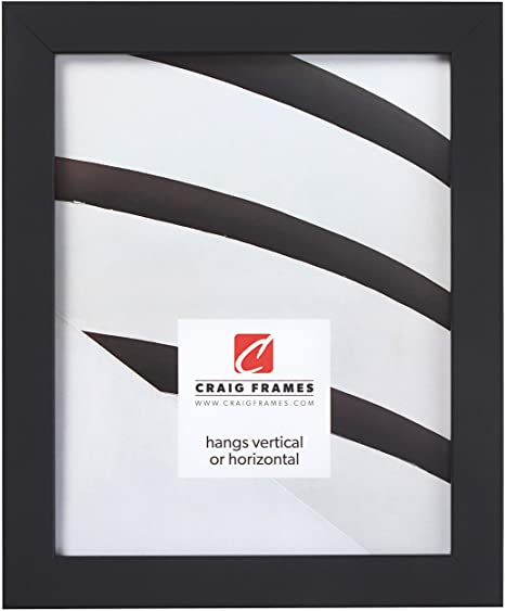 Craig Frames Essentials, Modern 1-Inch Picture Frame, 24 x 32 Inch, Black