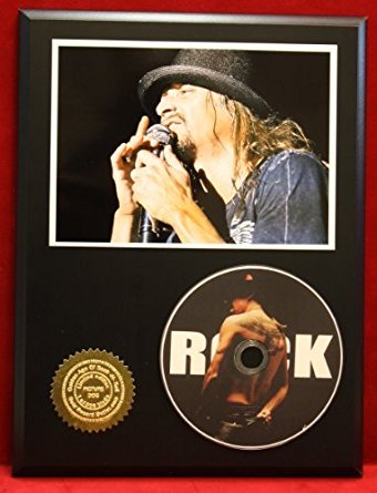 Kid Rock LTD Edition Picture Disc CD Rare Collectible Music Display