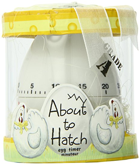 Kate Aspen "About To Hatch" Kitchen Egg Timer in Showcase Gift Box, Yellow