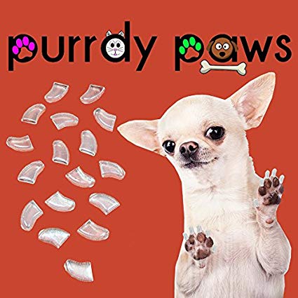 40-Pack Soft Nail Caps For Dogs Claws CLEAR Purrdy Paws