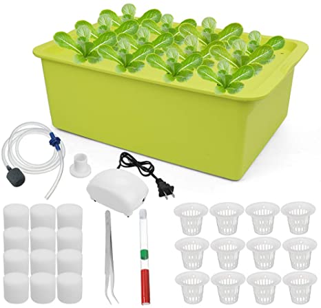 Freehawk Hydroponic System Growing Kit,12 Sites Bucket with Air Pump,Bubble Stone and Planting Sponges Household DWC Hydroponic System Growing Kits for Herbs,Lettuce,Vegetabls (Green)