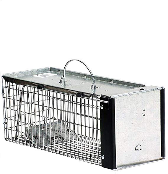 HAVAHART Animal Trap for Chipmunk, Squirrel, Rat, and Weasel, X-Small (New Version)