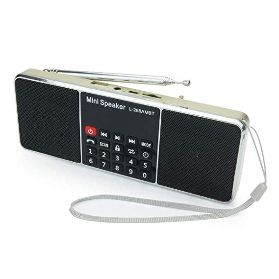 PRUNUS Portable AM FM bluetooth mp3 Long antenna radio with double magnetic speaker, stereo sound, AUX jack and sleep timer function. Stores stations automatically. Supports the following: Flash drive / Micro SD card / TF card (8GB, 16GB, 32GB, 64GB) to allow the user to play stored MP3 files (gold)