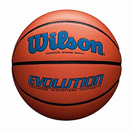 Wilson Evolution Game Basketball