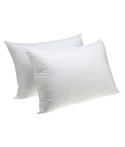 50% White Goose Down and 50% White Goose Feather Pillow, White, Set of 2, (King)
