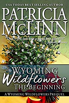 Wyoming Wildflowers: The Beginning: A Prequel