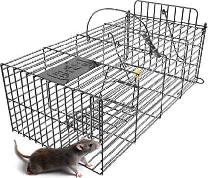 Fakespot  Black Decker Rat Trap Rat Traps Indo Fake Review