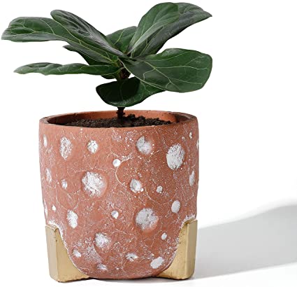 POTEY 051902 Cement Planter Pot - 5.5 Inch Red Concrete Planters Bonsai Container with Golden Leg White Circle Detailing & Drainage Hole for Plants Flower Aloe(Plant NOT Included) ded