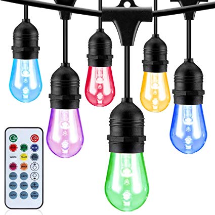BlueX Outdoor RGB String Lights – Color and Brightness Adjustable, 48FT - 24 Hanging LED Light Color Dimmable Bulbs - Heavy Duty Waterproof Commercial Grade, Patio, Porch, Garden, Café, Party, Indoor