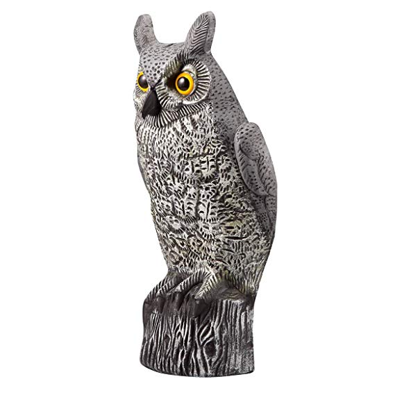 Miles Kimball Pest Repelling Realistic Flush Mount Scare Owl Pest-B-Gone