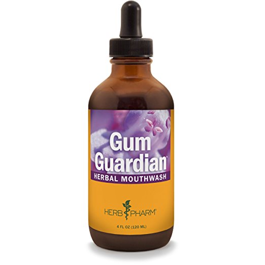 Herb Pharm Gum Guardian Herbal Mouthwash for Healthy Mouth and Gums - 4 Ounce