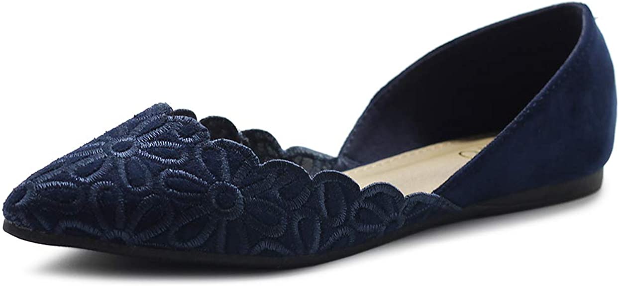 Ollio Women's Shoes Faux Suede Comfort Floral Embroidery Pointed Toe Ballet Flats F91