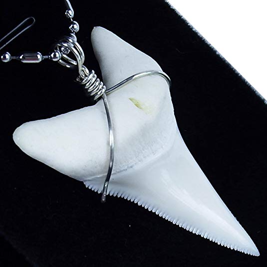 GemShark Real Shark Tooth Necklace Great White for Boy Men Sterling Silver Wrapped Charm Pendant