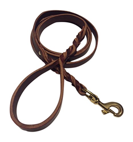 Punk Hollow ~ Leather Dog Leash, Dog Training Leash ~ Double Braided ~ 6 Ft. X 3/4 In. ~ Brown / Solid Brass