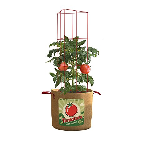 Panacea Products Tomatoes 20 gallon Grow Bag Folding 42" Cage