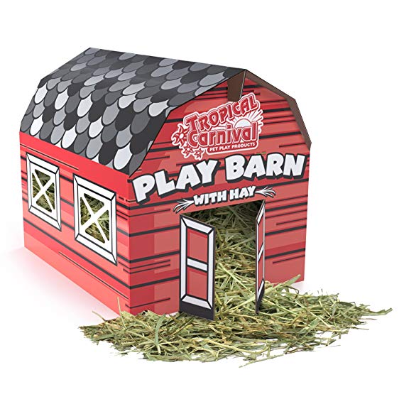 F.M. Brown's Tropical Carnival Play Barn Timothy Hay Rabbits, Guinea Pigs, Chinchillas, Hamsters Gerbils, 100% Edible, Made Non-Toxic Vegetable Ink