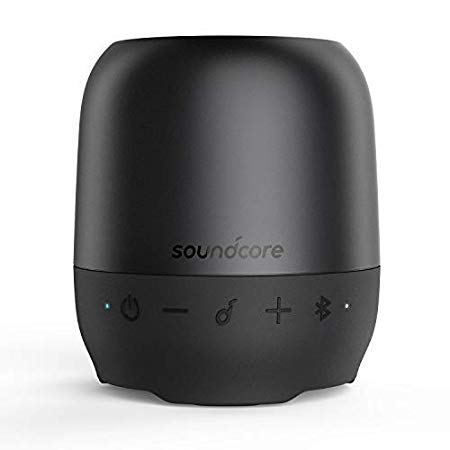 Anker Soundcore Ace A1 Portable Bluetooth Speaker, Wireless Portable Speaker with Big Sound, Rich Bass, 6-Hour Playtime, and Detachable Cord for Home, Travel, and More