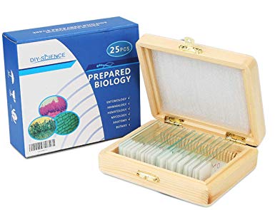 25 Pack Prepared Microscope Slide Set, Animal Plant Insect Bacteria Specimen Basic Bioscience Education for Kids & Students, Containing Wooden Storage Boxes