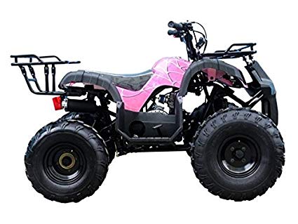 Brand New Youth Size ATV with 110cc engine and  Big Rugged Wheels with REVERSE ( Pretty Pink Spider )