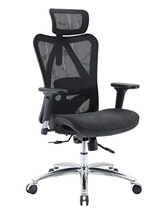 Sihoo Ergonomic Office Chair, Computer Chair Desk Chair High Back Chair Breathable, Skin-Friendly Mesh Chair Adjustable 3D Armrest and Lumbar Support (Black)