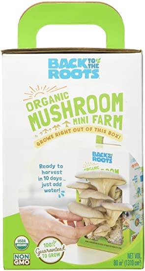 Back to the Roots Organic Mushroom Mini Farm 1 Count