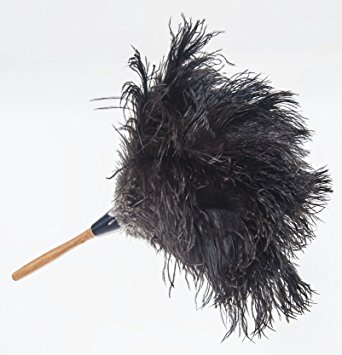 Royal Ostrich Feather Duster (Small FB01 (16"), Black)