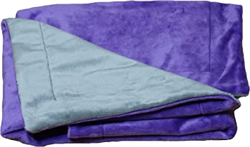 PetBed4Less Premium 100% Waterproof Two-Sided Silky Soft Throw Dog Blanket Cat Blanket with Reversible Dual-Layers Purple/Gray